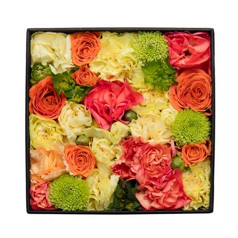 ブライト ビューティー