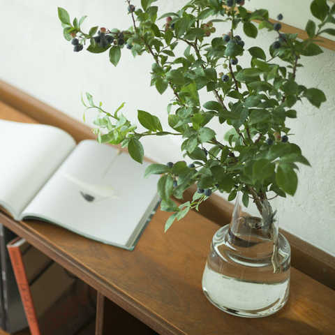 ホルムガード / フローラ ベース 24cm [Holmegaard / Flora vase]