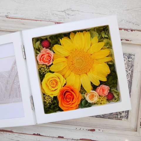 トゥルネソンＬ （オレンジ）