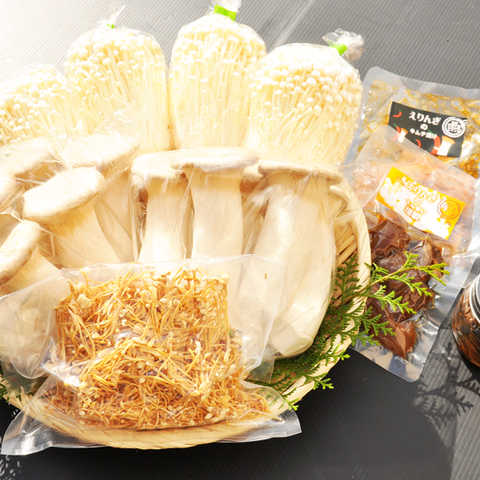 鳥取県産 きのこセット
