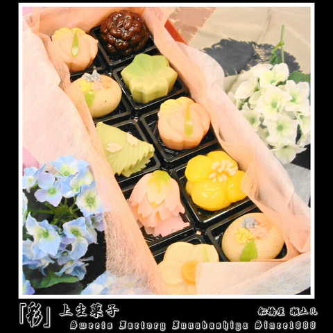 船橋屋-瀬止凡-「彩」上生菓子10個入