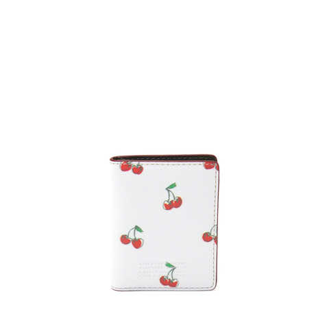 Fruit Train Pass Case