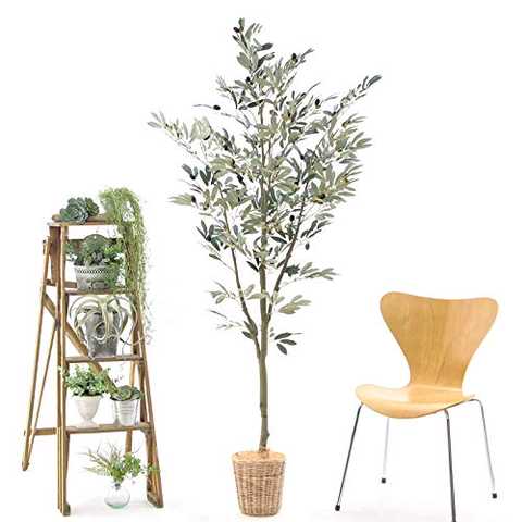 プレミアム【銀配合光触媒】人工観葉植物 フェイクグリーン「リアル オリーブ 170cm(ラタンバスケット TK6+ヤシの繊維)」NO92723(B154:西)