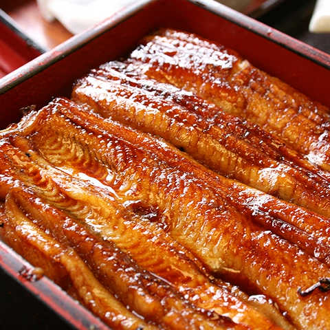 浜名湖産うなぎ長蒲焼き160g×1枚+肝焼き50g×1袋 個別真空袋 化粧箱入り