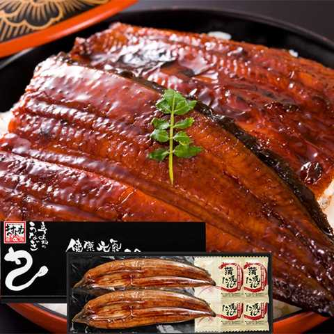 ますよね【鹿児島県産】うなぎ蒲焼セット 国産うなぎ (鰻 170g-180g 2本セット)