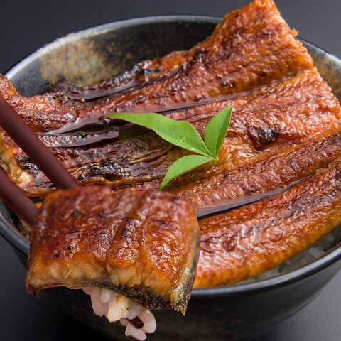 うを越 国産 愛知県三河産 特大 うなぎ蒲焼 うなぎ蒲焼き 鰻蒲焼 鰻 うなぎ 蒲焼 2本 2尾 ギフト 冷蔵 セット プレゼント 誕生日