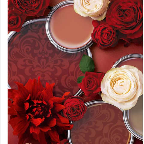 ハーモニック カタログギフト TAKE YOUR CHOICE (テイク・ユア・チョイス) オンシジウム