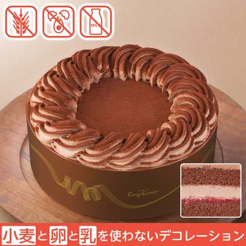 【送料込】小麦と卵と乳を使わないチョコデコレーション