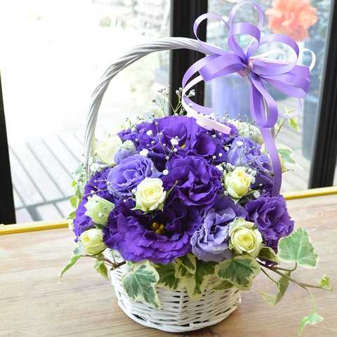 [エルフルール] 生花 トルコキキョウ 白バスケットアレンジメント (パープル)