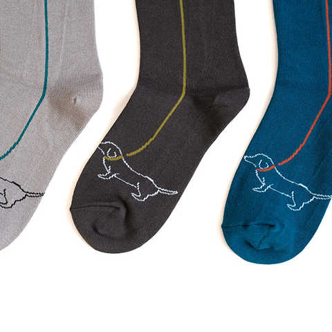 HASHIMOTO NAOKO+hacu inu to osampo