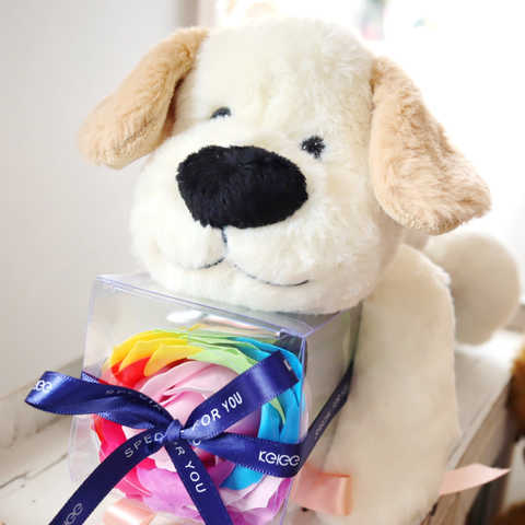 ましゅまろタッチぬいぐるみとレインボーローズ