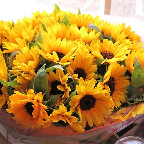 ヒマワリ ブーケ