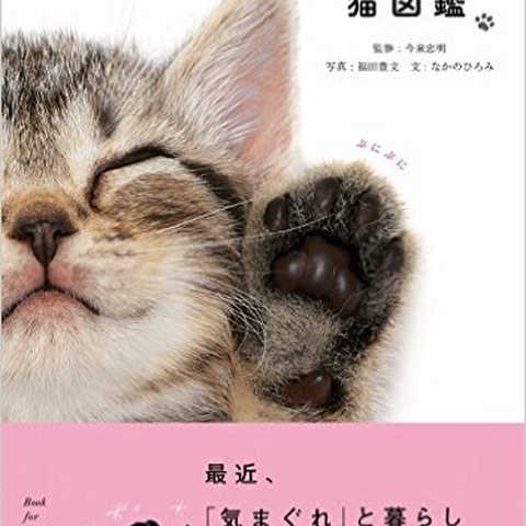ときめく猫図鑑