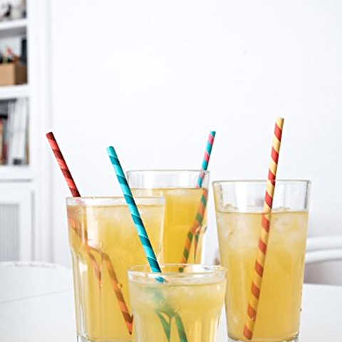 KIKKERLAND PAPER STRAWS  [ パーティーストライプ ]