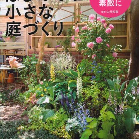 はじめての小さな庭づくり―小スペースをもっと素敵に