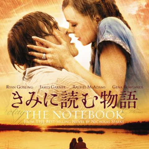 きみに読む物語 スペシャル・プライス [DVD]