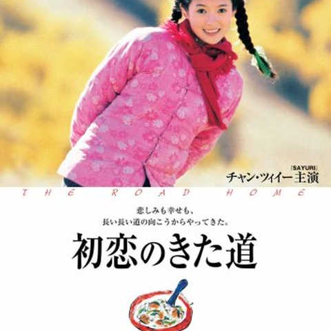 初恋のきた道 [DVD]