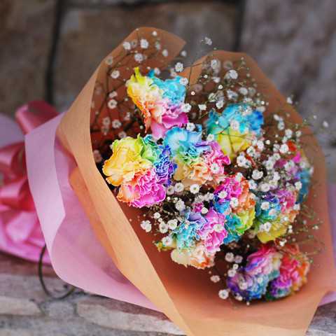 レインボーカーネーション10本の花束（キラキラかすみ草付）