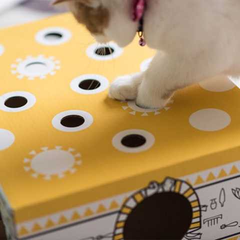 猫もぐらたたきボックス