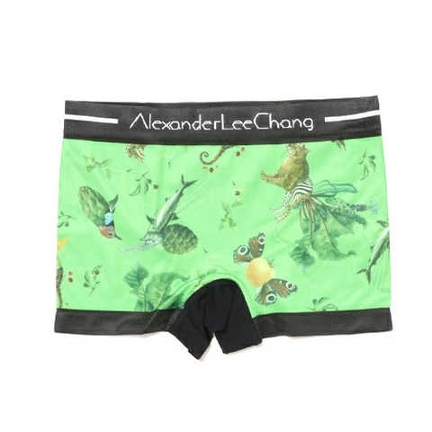 AlexanderLeeChang xBETONES boxer shorts