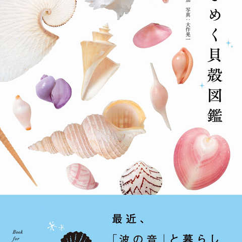 ときめく貝殻図鑑 最近「波の音」と暮らしはじめました。 (ときめく図鑑 Book for Discovery) 