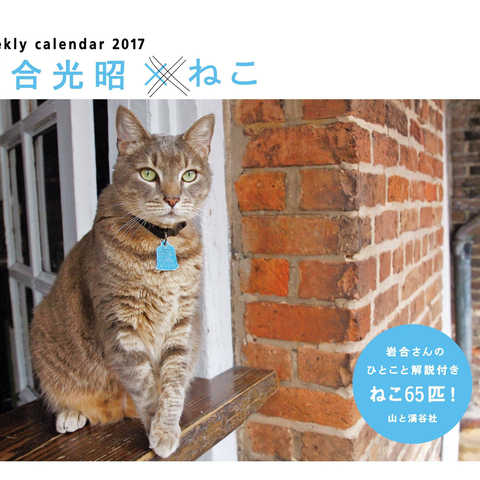 カレンダー2017 岩合光昭×ねこ 週めくり卓上 