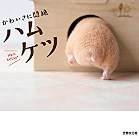 かわいさに悶絶 ハムケツ Kindle版 