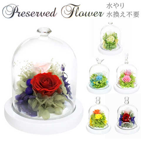 モチーフドームアレンジメント