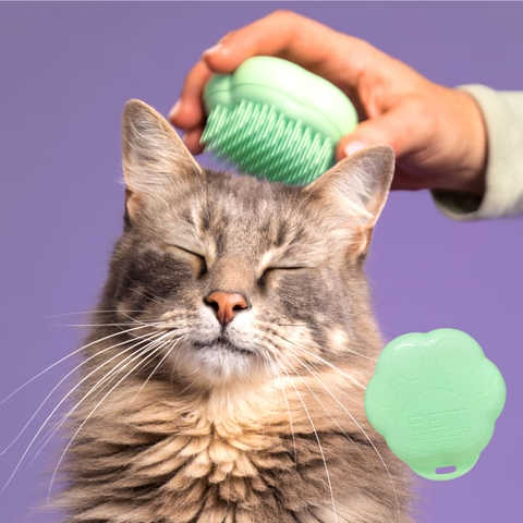 TANGLE TEEZER(タングルティーザー ) ペットティーザー キャット ケアブラシ