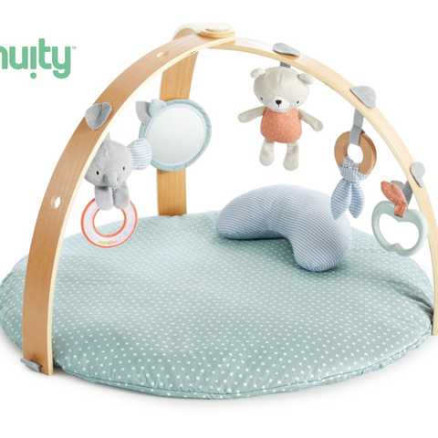 ingenuity インジェニュイティ コージースポット リバーシブルジム