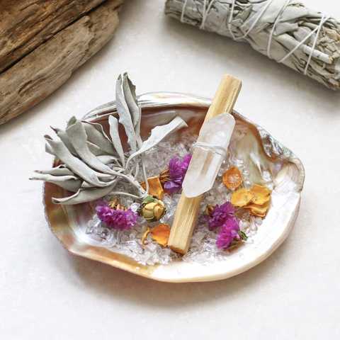 Deep Cleanse Aurora Pink Shell Plate set