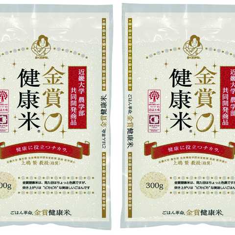 真空米 金賞健康米 北海道産ゆめぴりか（300g×2袋）