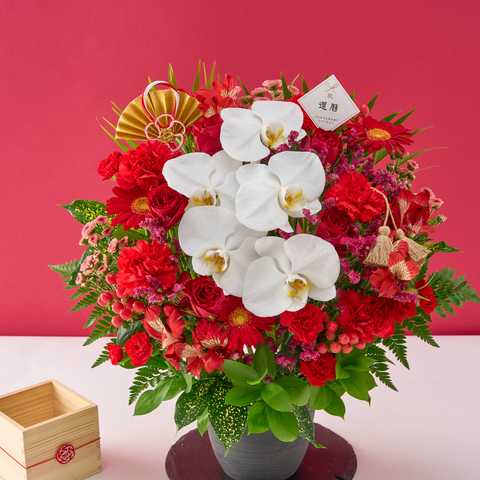 【送料無料】祝!還暦「紅」60歳LL〜オーキッド〜
