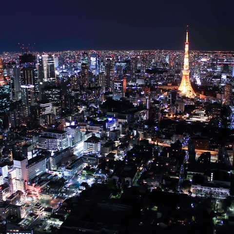 船橋発ヘリクルージング[夜便｜25分]