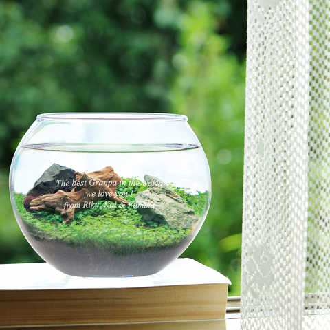 【名入れ】 アクアリウムキット L