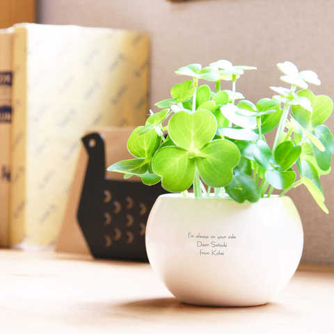 【名入れ】CT触媒グリーン クローバー