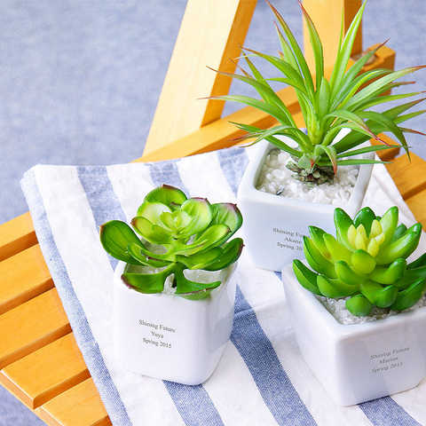 【名入れ】CT触媒グリーン