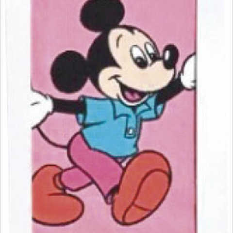 ディズニー ウェルカムパーティー フェイスタオル DS-9205
