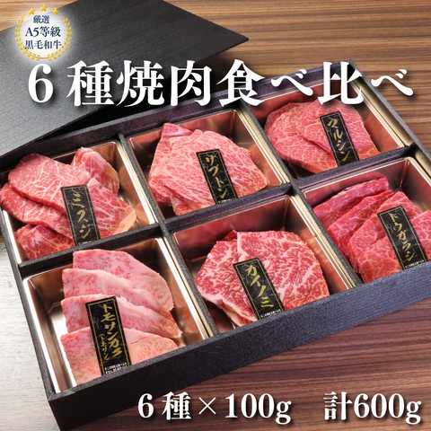 A5等級 黒毛和牛 6種焼肉 食べ比べセット 600g