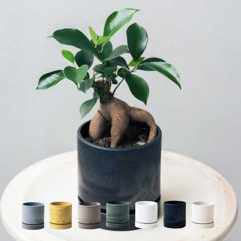 選べる4号鉢と鉢カバーのセット