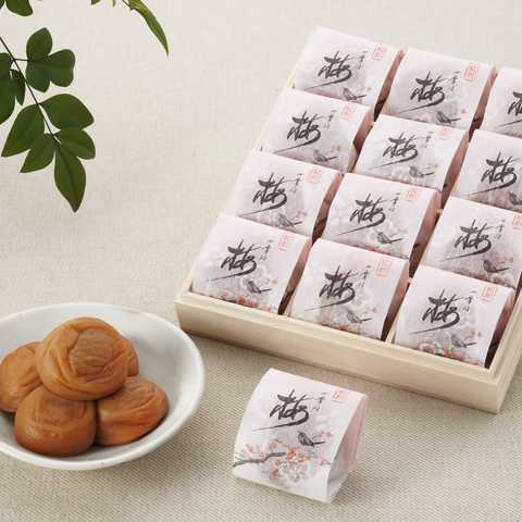 和歌山 紀州南高梅 梅満開
