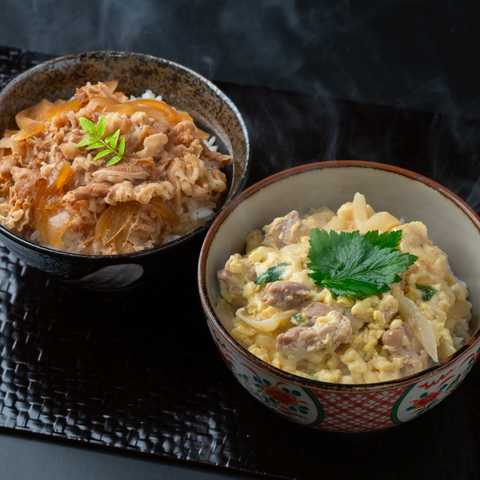 徳島 「吟月」 簡単ふんわり親子丼と牛丼の具(8食)