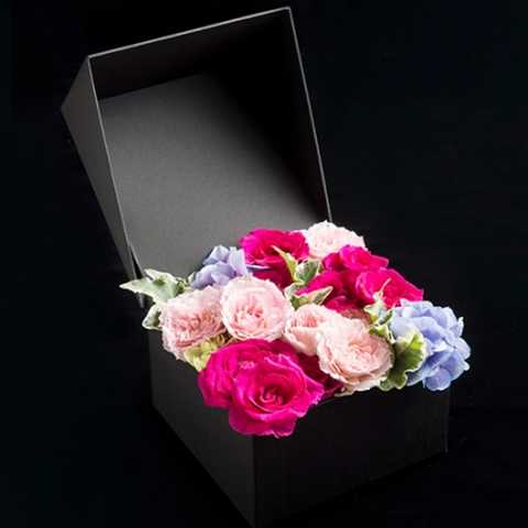Jewelry Box Middle