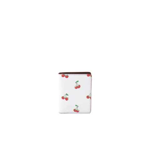 Fruit Train Pass Case