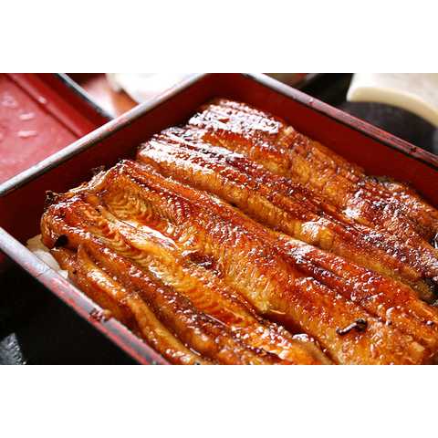 浜名湖産うなぎ長蒲焼き160g×1枚＋肝焼き50g×1袋　個別真空袋　化粧箱入り