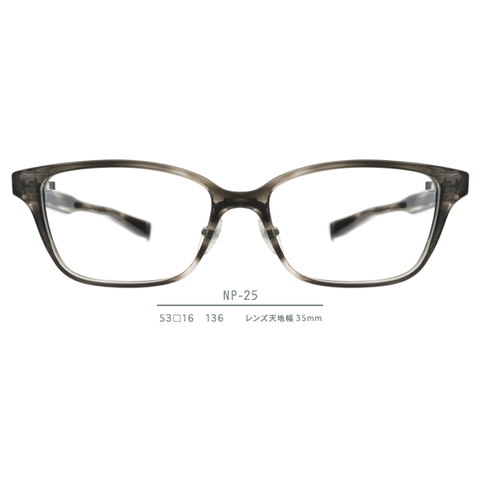 NP-25 series