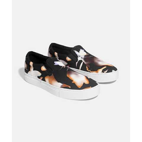 VASS CANVAS