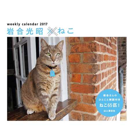 カレンダー2017 岩合光昭×ねこ 週めくり卓上 