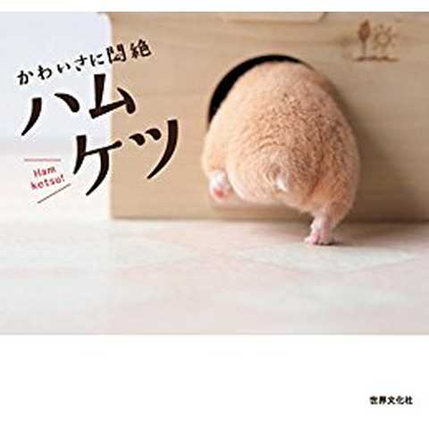 かわいさに悶絶 ハムケツ Kindle版 