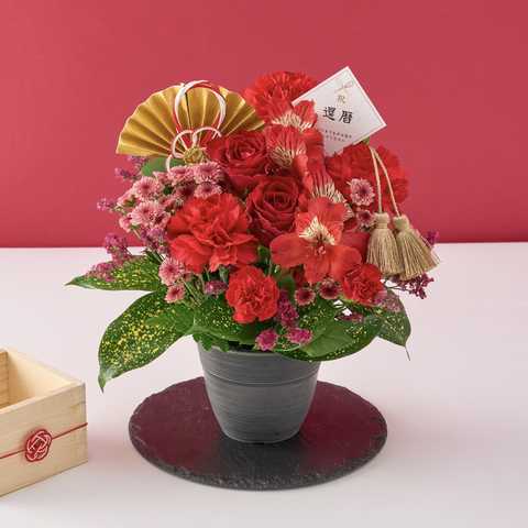 【送料無料】祝！還暦「紅」60歳S
